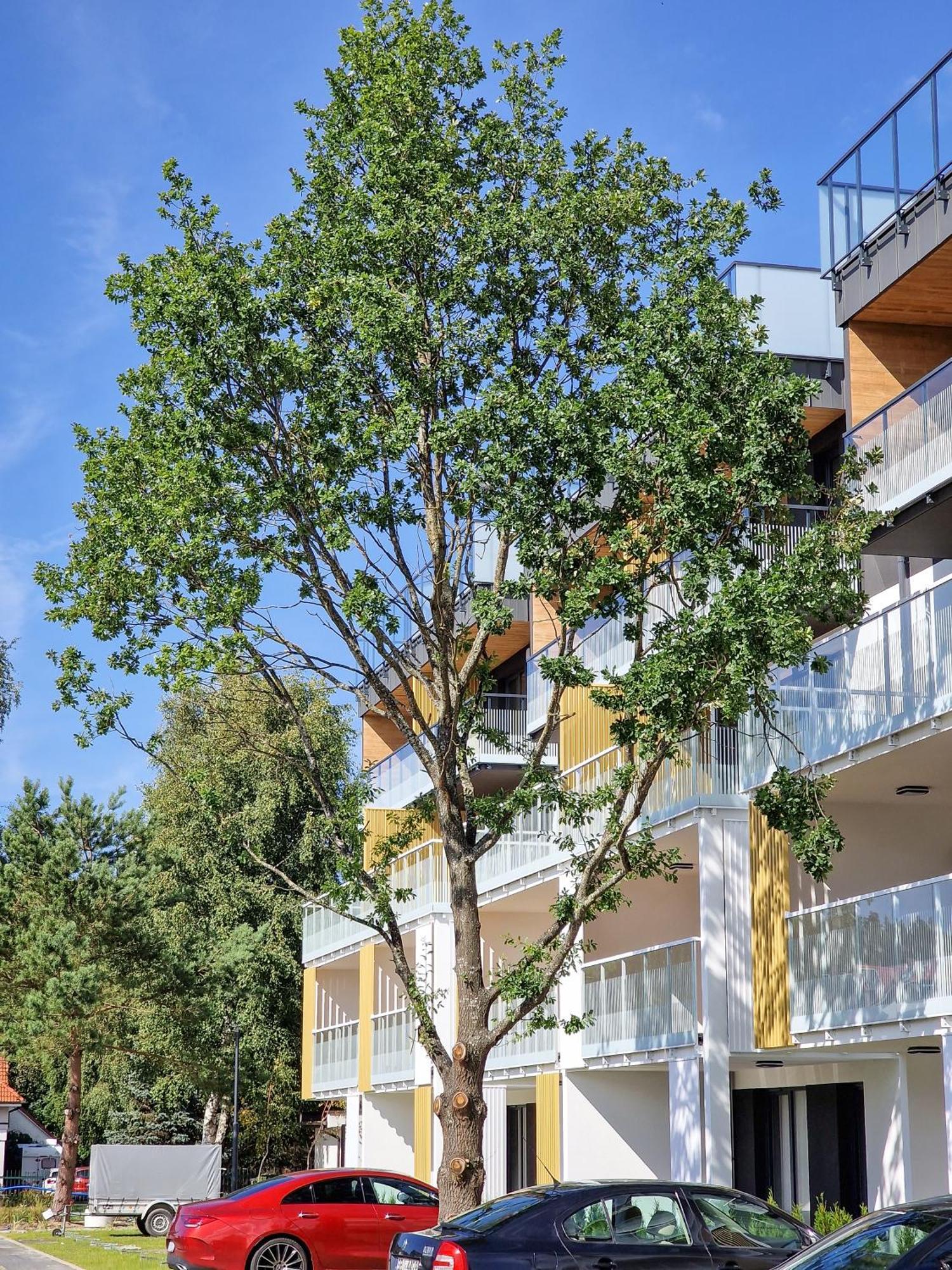 Posesja Apartamenty & Spa - Posesja Plazowa 4A II Grzybowo  Eksteriør billede